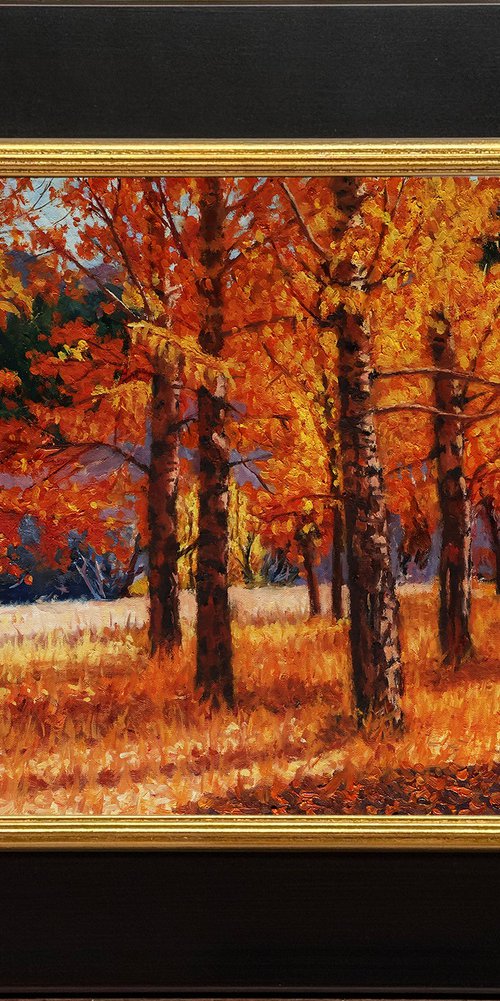 A Symphony of Autumn Aspens by Daniel Brian Fishback