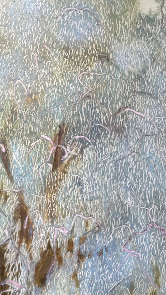 Old Willows by the River