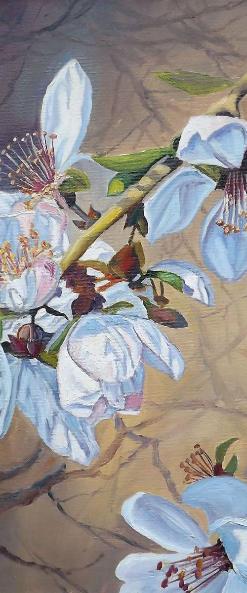 Apple Blossom by Oleg Riabchuk