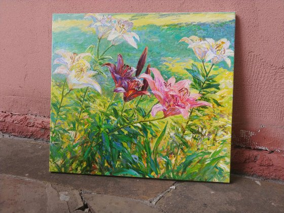 Sunny siesta. Lilies.