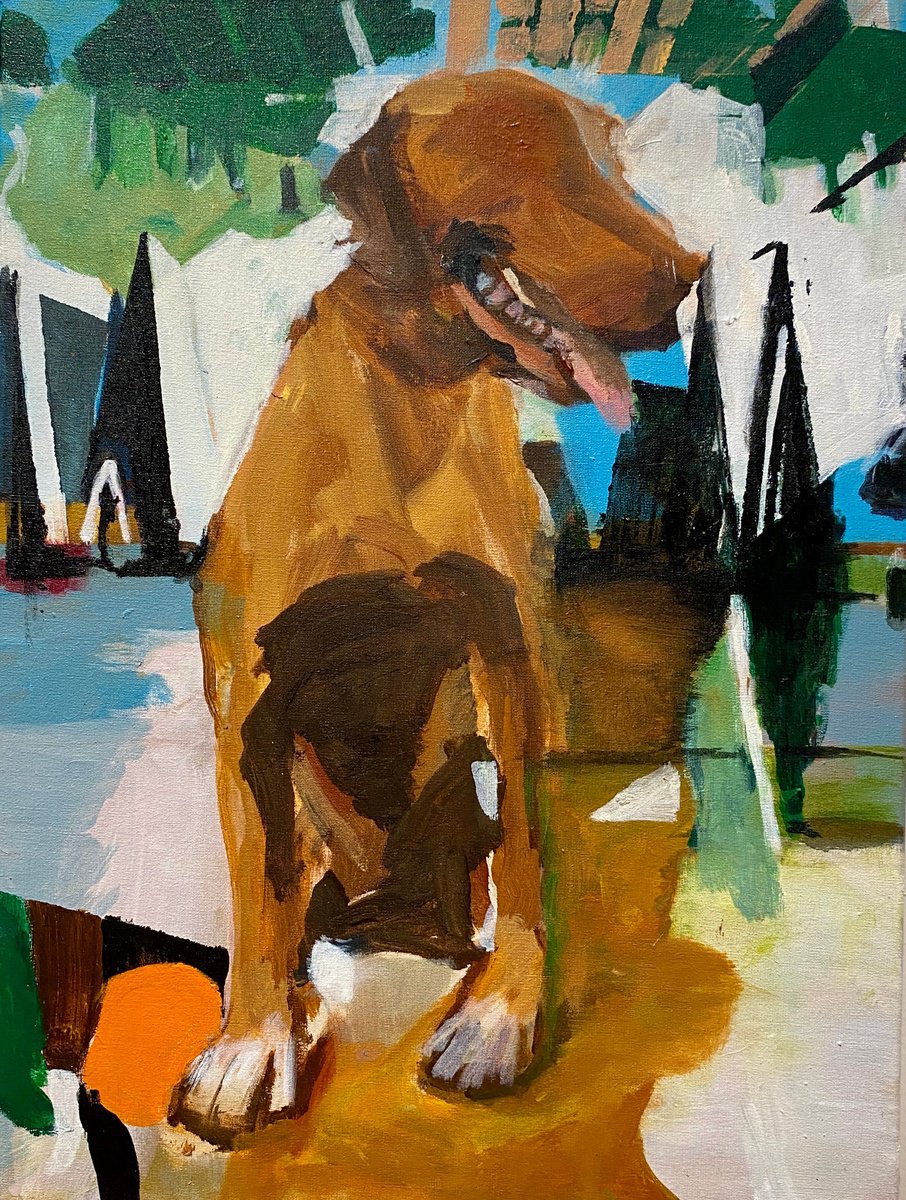Mondo cane by Patricia Chueke