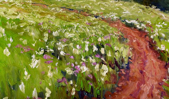 Meadow in the Summer