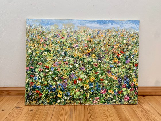 Colorful flowers field