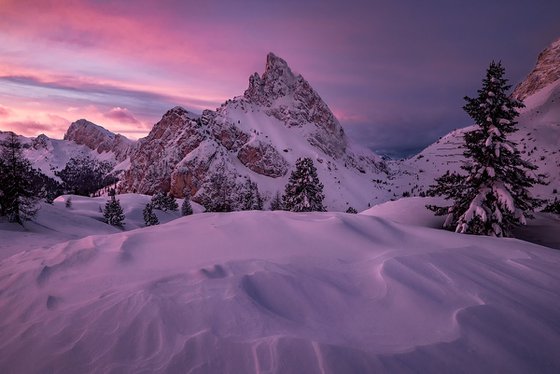 The Witch's winter
