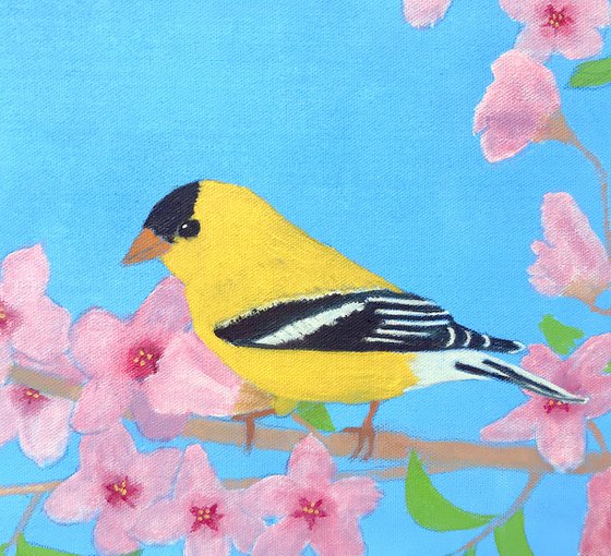 AMERICAN GOLDFINCH