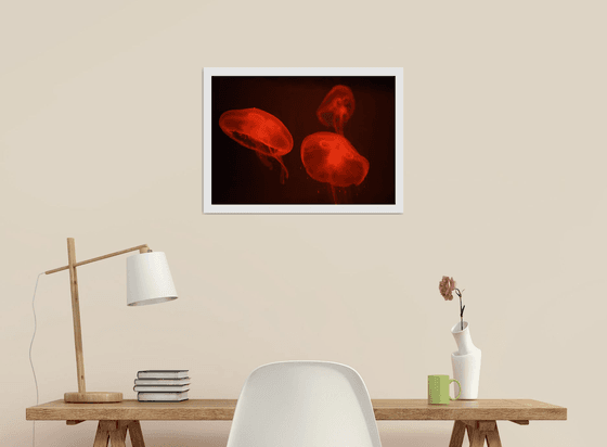 At the aquarium #4 | Limited Edition Fine Art Print 2 of 10 | 45 x 30 cm