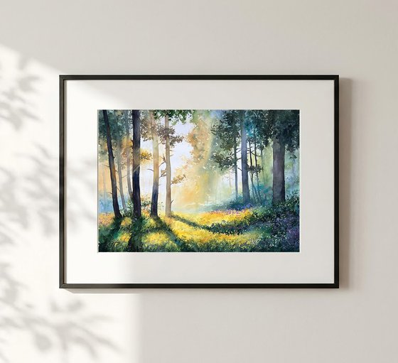 Misty Morning Forest
