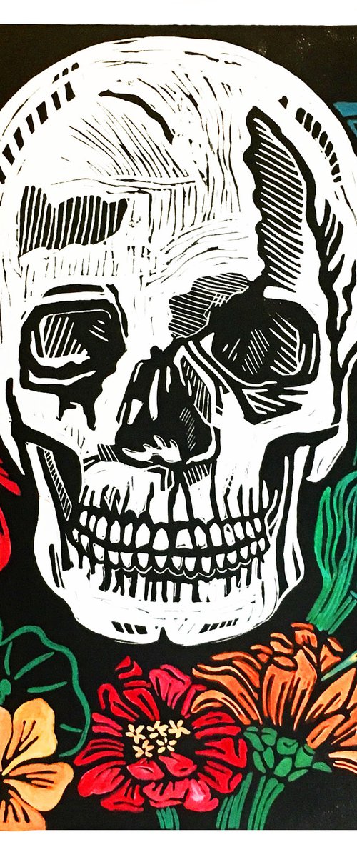 Skull by Laurel Macdonald