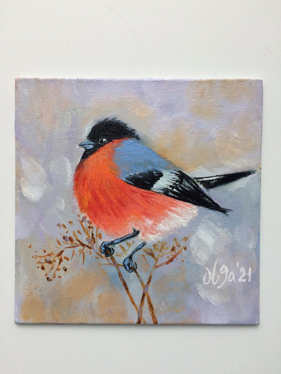 Bird oil painting - Bullfinch small canvas artwork - Christmas gift for bird lover (2021)