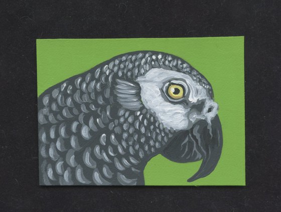 ACEO ATC Original Miniature Painting African Gray Parrot Pet Bird Art-Carla Smale