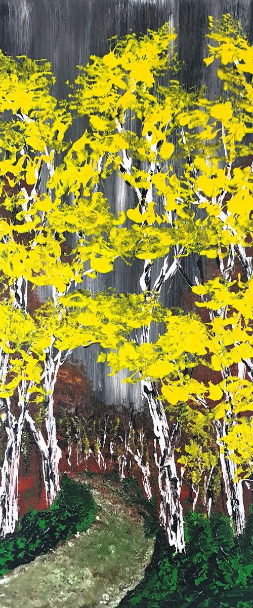 Heavenly Birches 5 by Daniel Urbaník