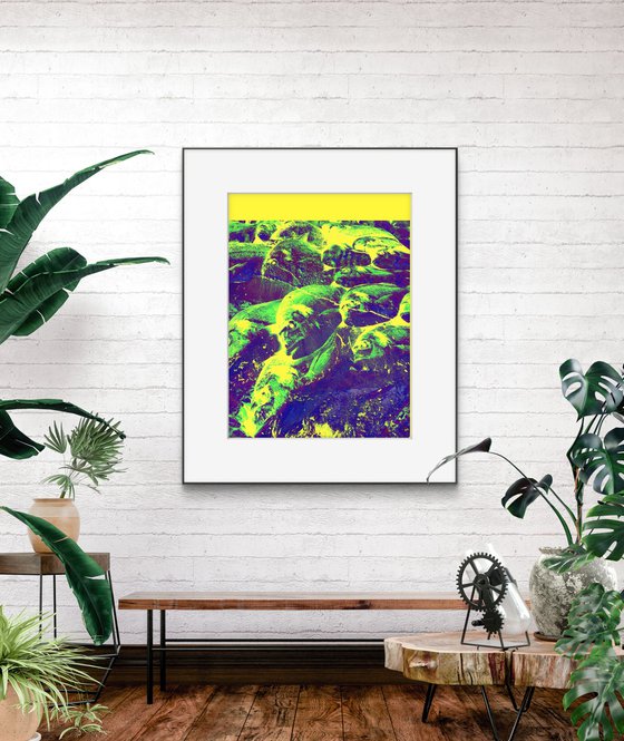 Digital collage Colorful Fish