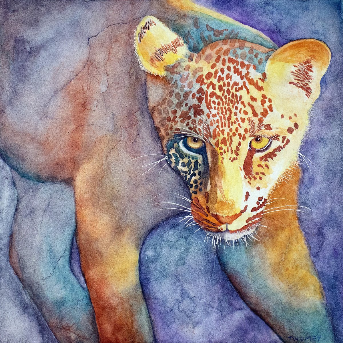 Animal Painting By Catherine Twomey, 12 X 12, Night Moves, Original Artwork