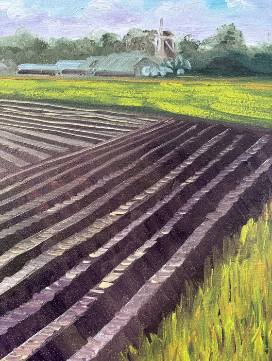 Plowed Field in Wachtum