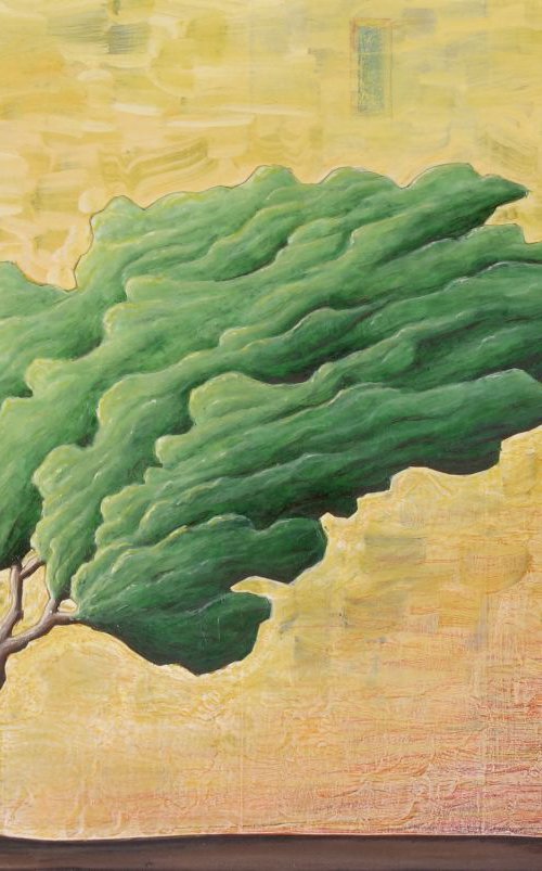 ALBERO f4 [RESERVED] by Giuliano Monechi