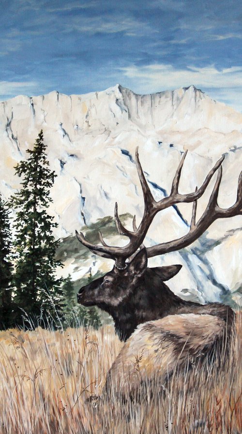Landscape - Elk - Mountains - "The Golden Hour" by Katrina Case