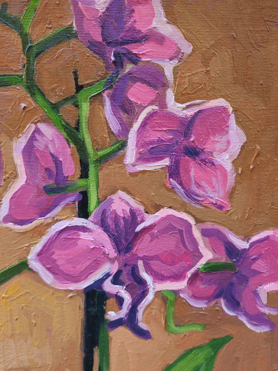 "Orchids"