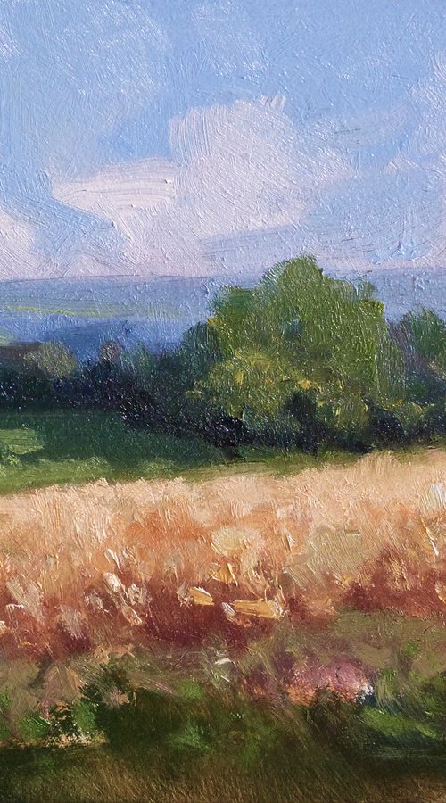 Champs de Blé by Pascal Giroud
