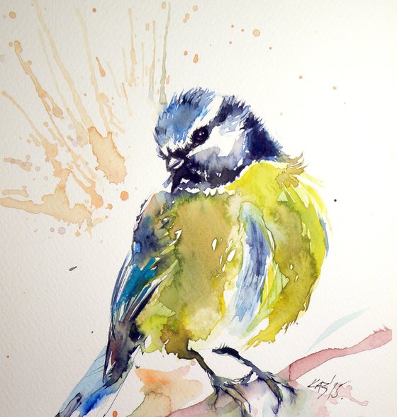 Titmouse