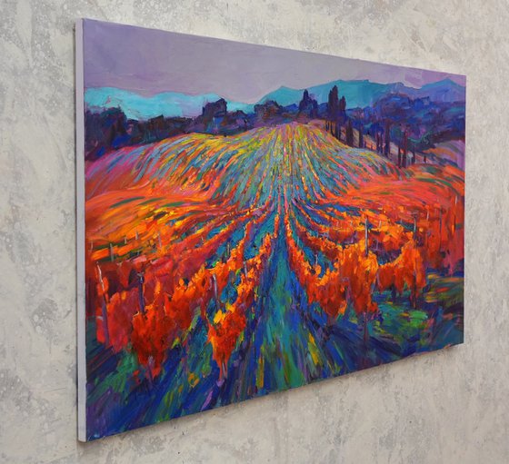 Tuscan vineyards