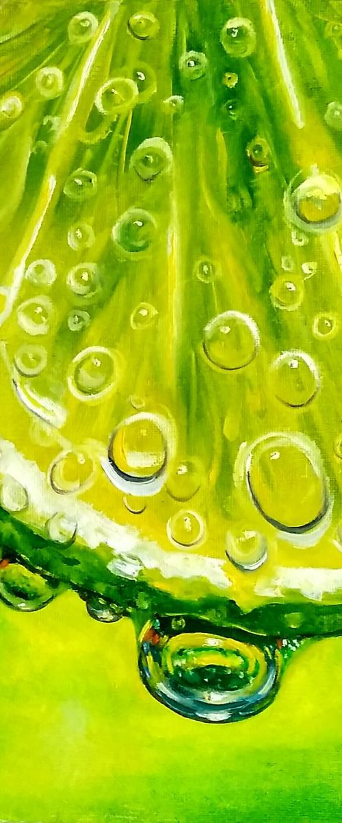 Juicy lime by Yulia Berseneva
