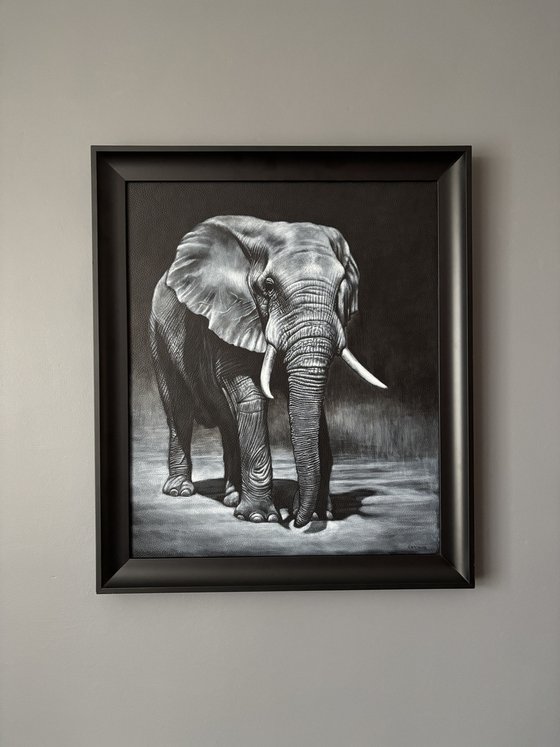 Elephant Night Walker