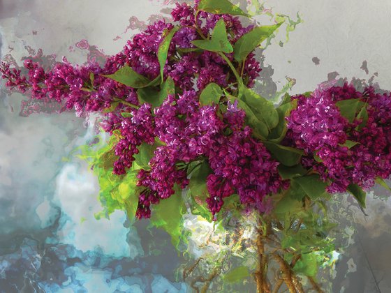 Lilas