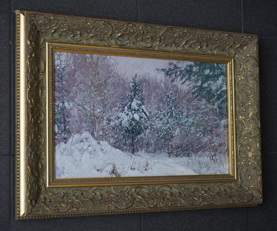 Snow-covered pine trees in Kuzminki Park