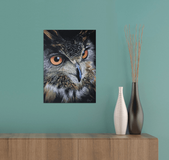 “Eurasian Eagle Owl”