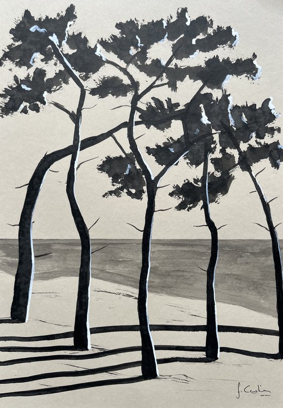 Pinetrees