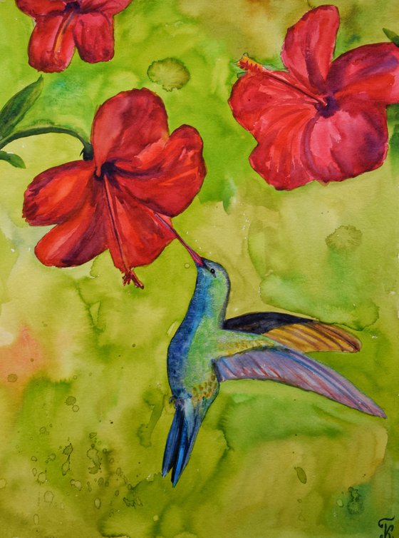 Hummingbird Watercolour Painting, Flower Original Artwork, Tropical Home Decor