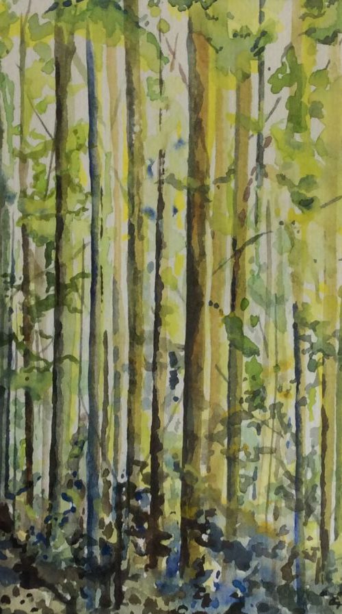 Shades of Green by Lucy Smerdon