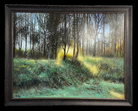 'Catch The Light'