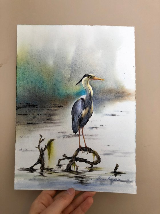 Grey heron standing in a river