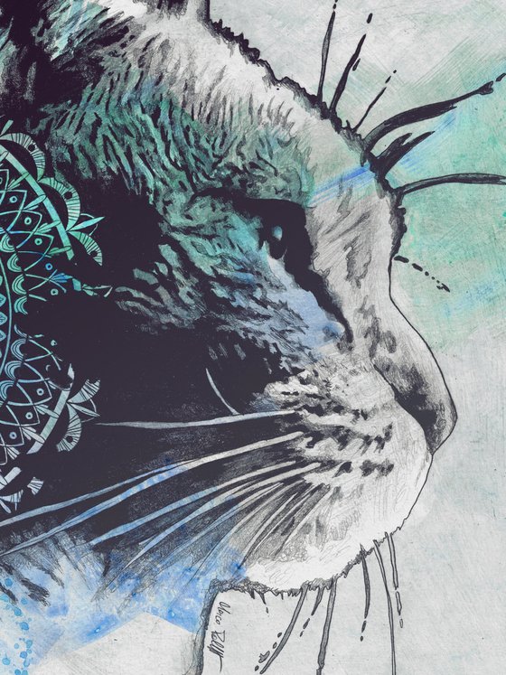 Tides Of Tomorrow: Turquoise