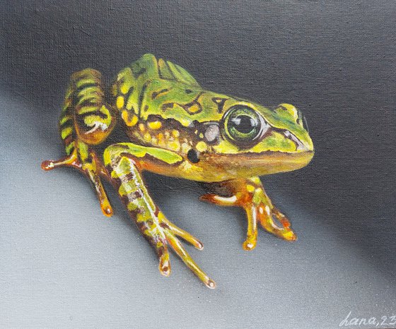 Frog painting,  green frog,  realistic art,  frog art, hyperrealism painting