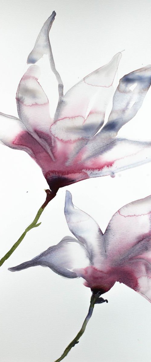 Magnolia No. 25 by Elizabeth Becker