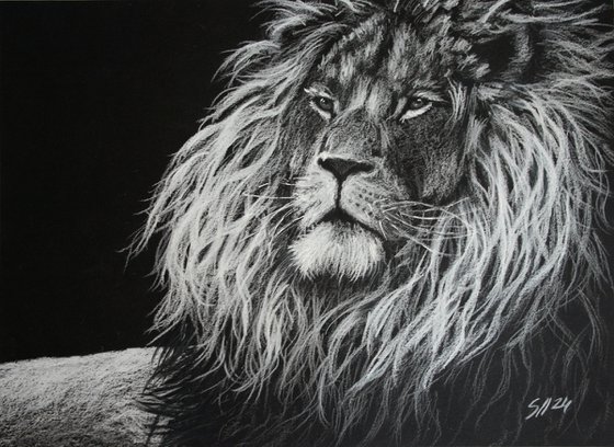 Lion III