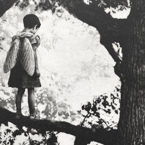 Exterior No.20: Whizzing through The Woods