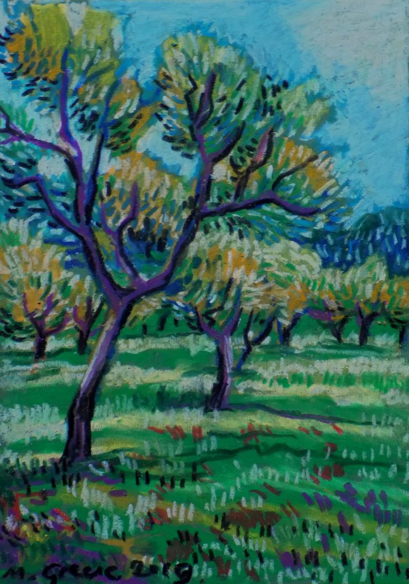 Olive grove No 17 by Maja Grecic