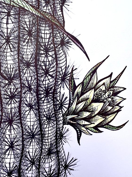 YELLOW CACTUS FLOWERS