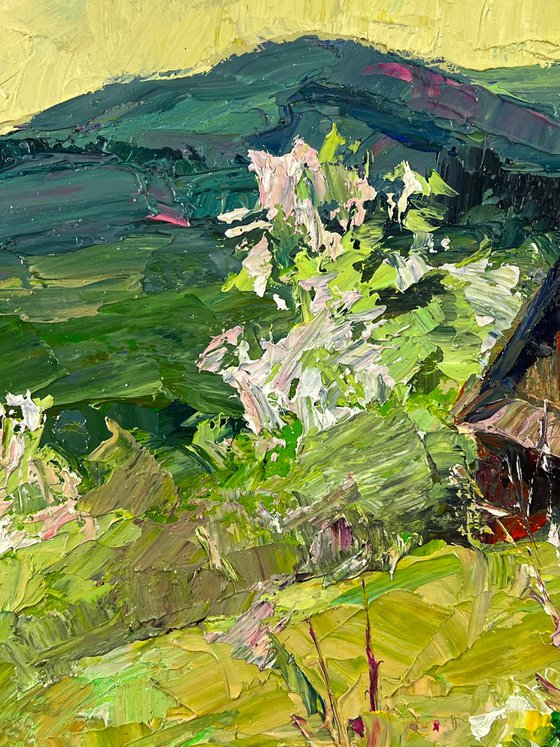 Spring in the Endless Mountains