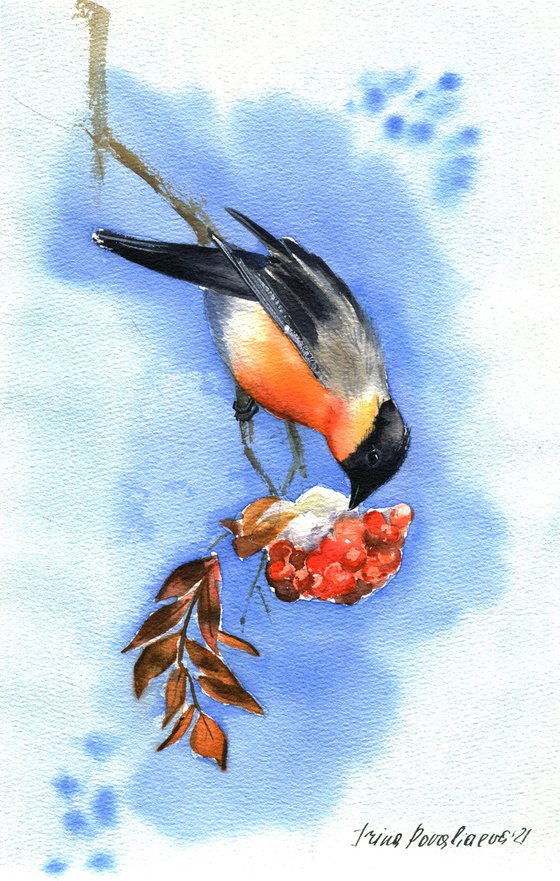 Bullfinch on branch of ashberry tree original watercolor painting blu sky winter bird artwork