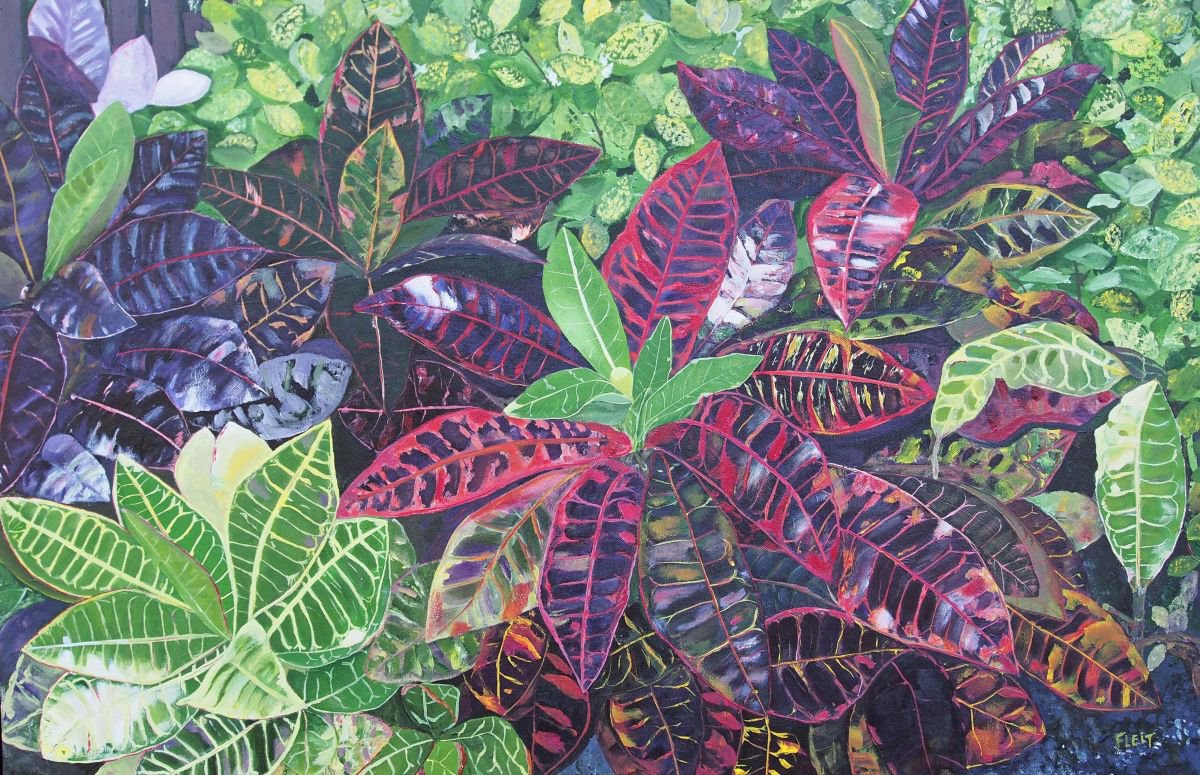 Floral Series 9 By Steven Fleit, 37 X 25, Artwork For Sale On Artfinder