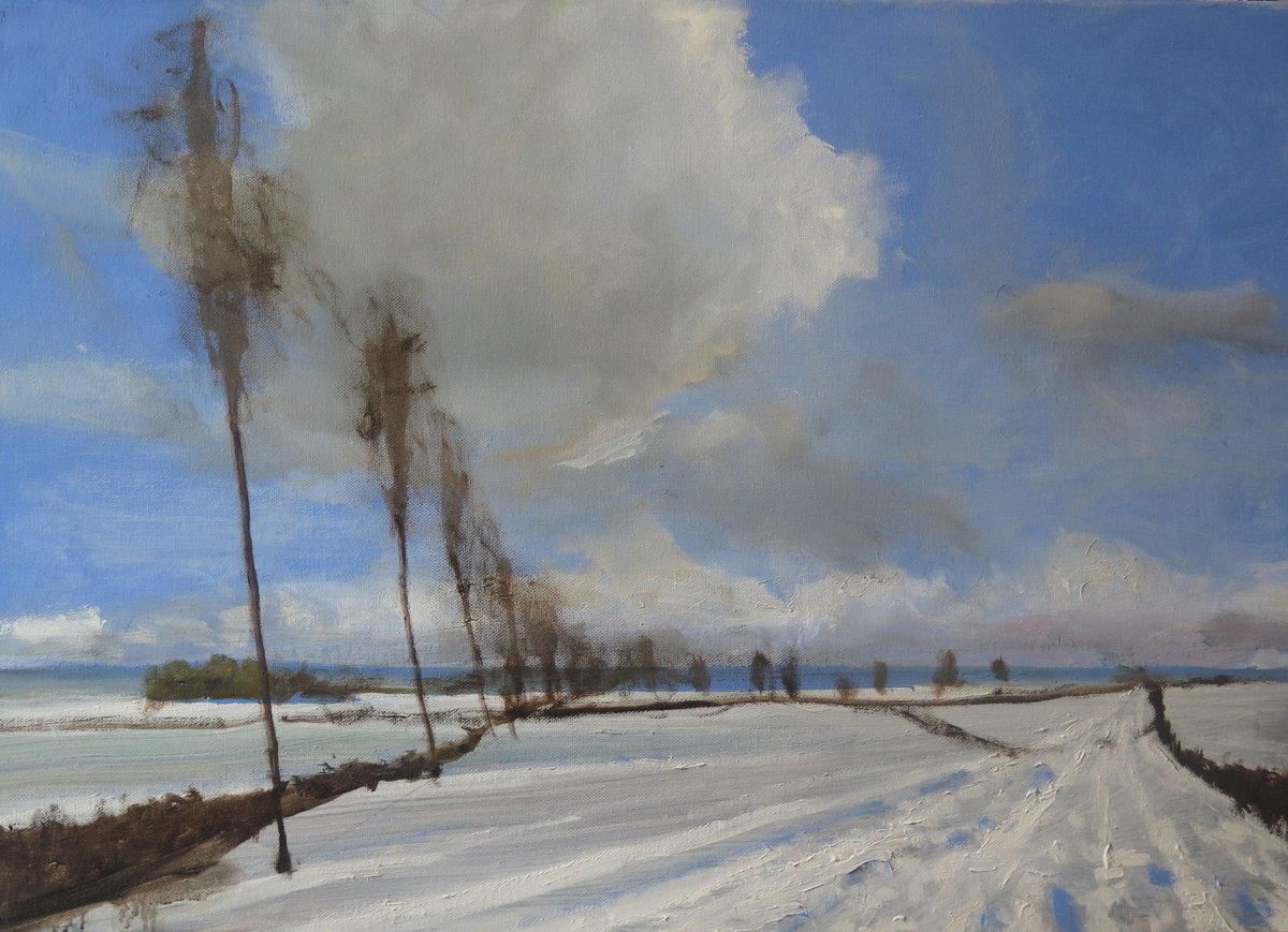 Snow, Jan 8 By Malcolm Ludvigsen, 27 X 20, Artwork For Sale On Artfinder