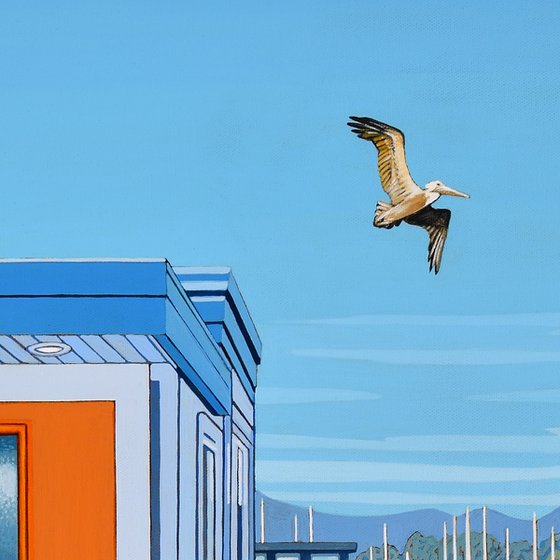 Houseboats with Pelican