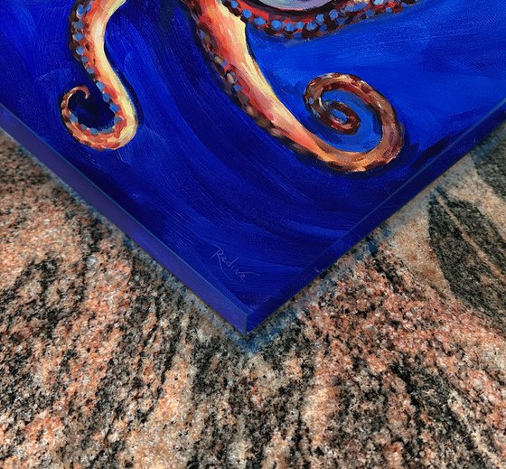 Octopus