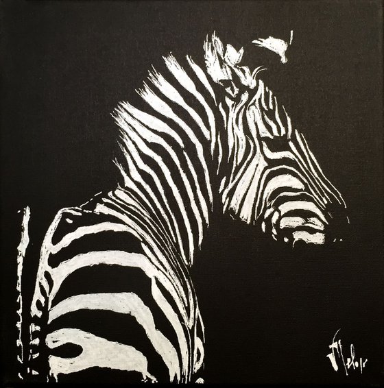 Zebra II