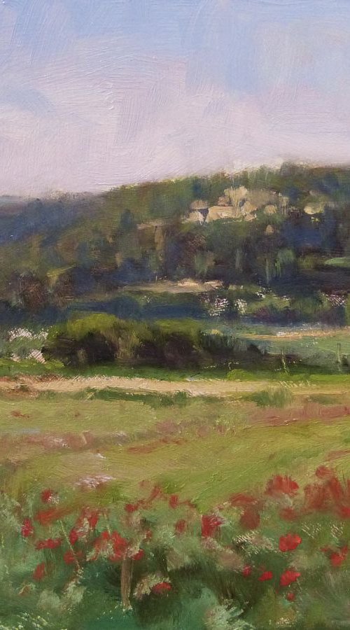 Coquelicots vers Forcalquier by Pascal Giroud