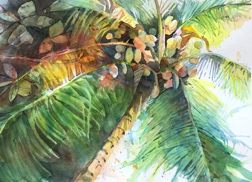 Sunlight through the Palms by Bronwen Jones